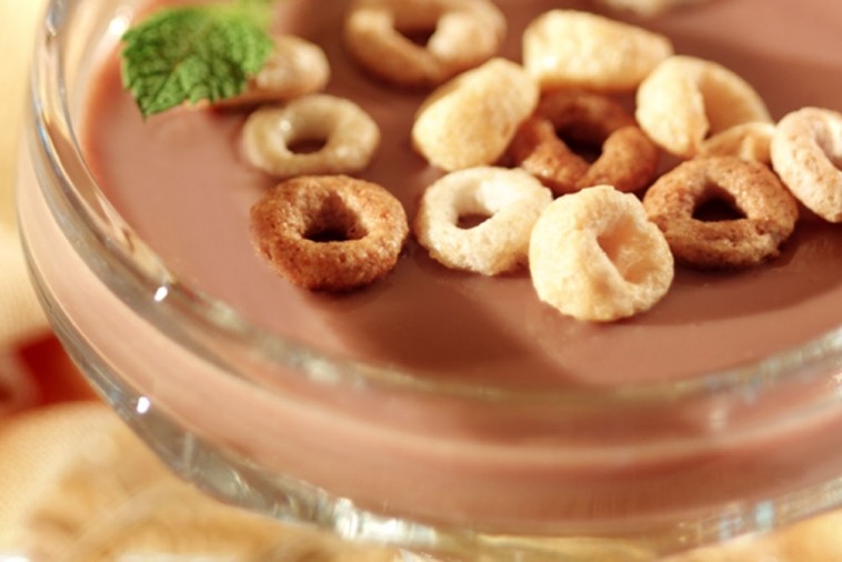 Chocolate Milk Jiggle Pudding